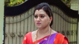 Kumkuma Puvvu (Maa Tv) S08 E451 A Shock Awaits Amrutha