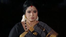 Kumkuma Puvvu (Maa Tv) S08 E452 Jayanthi Feels Emotionally Low