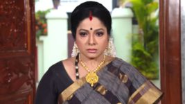 Kumkuma Puvvu (Maa Tv) S08 E454 Jayanthi Warns the Family