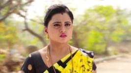 Kumkuma Puvvu (Maa Tv) S08 E455 A Major Shock Awaits Amrutha