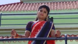 Kumkuma Puvvu (Maa Tv) S08 E488 Amrutha Faces Raghuram's Ire