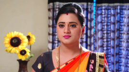 Kumkuma Puvvu (Maa Tv) S08 E491 Chitra's Demand to Amrutha