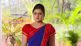 Kumkuma Puvvu (Maa Tv) S08 E559 Amrutha Meets Tripuramba