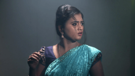 Kumkuma Puvvu (Maa Tv) S08 E88 Who Kidnapped Amrutha?