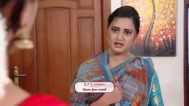 Kumkuma Puvvu (Maa Tv) S08 E960 Jayanthi's Family Gets Anxious