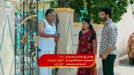 Maamagaru (Star Maa) S01 E169 Pandu's Cunning Plan