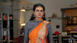 Naga Panchami (Star Maa) S01 E311 Will Nageswari Keep Her Promise?