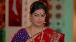 Satyabhama S01 E71 What Is Bhairavi Upto?