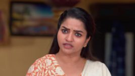 Anna (Tamil) S01 E301 6th April 2024