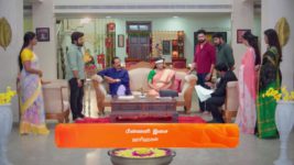 Karthigai Deepam S01 E447 14th April 2024