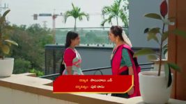 Naga Panchami (Star Maa) S01 E326 Vaidehi Is Determined