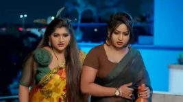 Naga Panchami (Star Maa) S01 E328 Vaidehi Confronts Panchami