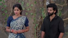 Naga Panchami (Star Maa) S01 E330 A Priest Alerts Panchami