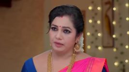 Naga Panchami (Star Maa) S01 E332 Vaidehi Is Anxious