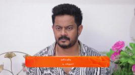 Nala Damayanthi S01 E168 23rd April 2024