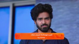 Nala Damayanthi S01 E175 1st May 2024