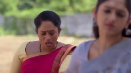 Ninaithale Inikkum S01 E886 30th April 2024