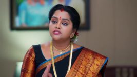 Padamati Sandhyaragam S01 E492 13th April 2024