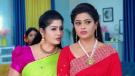 Radhaku Neevera Praanam S01 E299 23rd April 2024