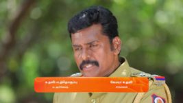 Sandakozhi S01 E345 24th April 2024