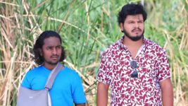 Shreegowri S01 E52 Gowri decides to not return home