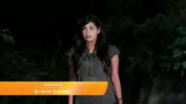 Kamali S01E495 6th January 2020 Full Episode