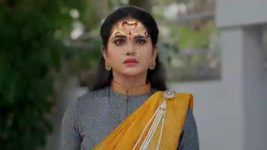 Naga Panchami (Star Maa) S01 E329 Karali, Phanindra's Evil Motive