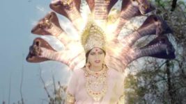 Naga Panchami (Star Maa) S01 E331 Nagamatha's Curse