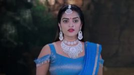 Naga Panchami (Star Maa) S01 E341 Vaidehi's Worrisome Plea