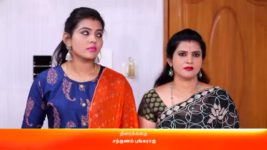 Rettai Roja S01E366 2nd April 2021 Full Episode