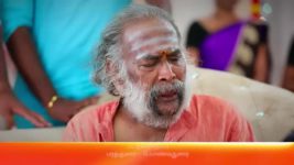 Sembaruthi S01E1266 1st February 2022 Full Episode