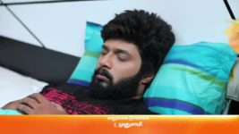 Sembaruthi S01E201 14th July 2018 Full Episode