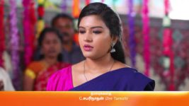 Sembaruthi S01E217 30th July 2018 Full Episode