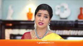 Sembaruthi S01E231 13th August 2018 Full Episode