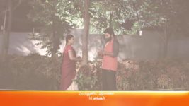 Sembaruthi S01E248 30th August 2018 Full Episode