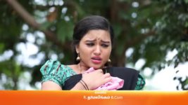 Sembaruthi S01E288 9th October 2018 Full Episode