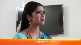 Sembaruthi S01E326 20th November 2018 Full Episode