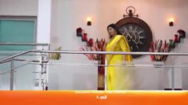 Sembaruthi S01E387 30th January 2019 Full Episode