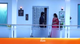 Sembaruthi S01E426 15th March 2019 Full Episode