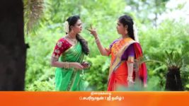 Sembaruthi S01E620 29th October 2019 Full Episode