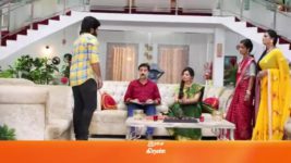 Sembaruthi S01E635 15th November 2019 Full Episode