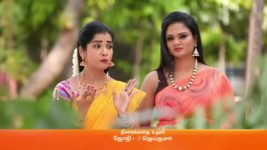 Sembaruthi S01E639 20th November 2019 Full Episode