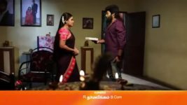 Sembaruthi S01E646 28th November 2019 Full Episode