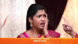 Sembaruthi S01E958 20th February 2021 Full Episode