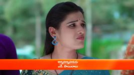 Trinayani (Telugu) S01 E800 17th December 2022