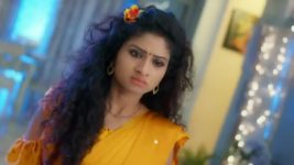 Trinayani (Telugu) S01E146 11th November 2020 Full Episode