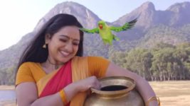 Trinayani (Telugu) S01E293 1st May 2021 Full Episode