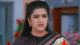 Trinayani (Telugu) S01E515 17th January 2022 Full Episode