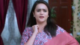 Trinayani (Telugu) S01E601 27th April 2022 Full Episode