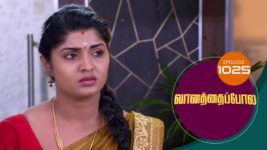 Vanathai Pola S01 E1025 15th April 2024